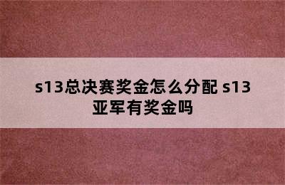 s13总决赛奖金怎么分配 s13亚军有奖金吗